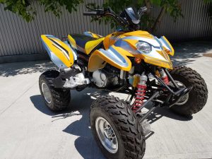 ATV HURRICANE SPIDER 350cc 2 PERSOANE